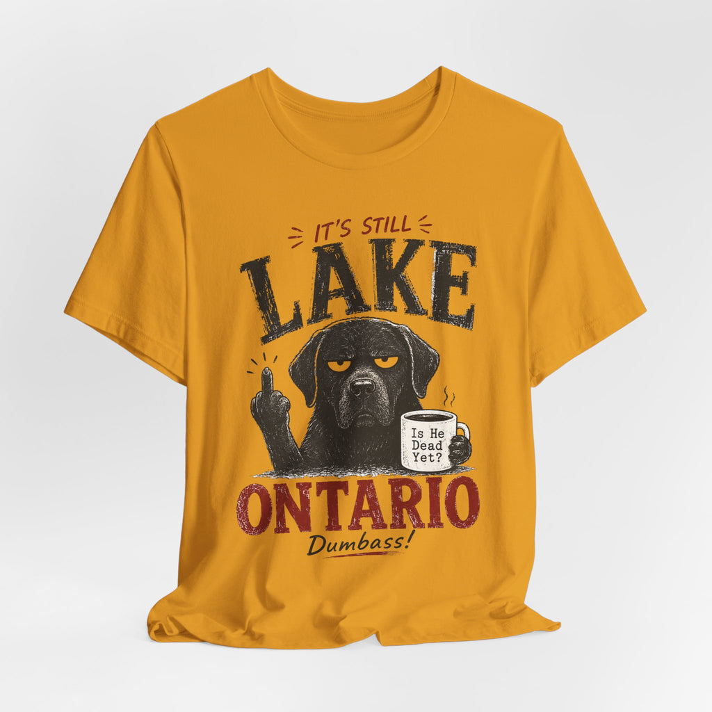 It's Still Lake Ontario Dumbass T-Shirt in Mauve - funny Great Lakes Lake Ontario graphic tee, Barely Outdoorsy