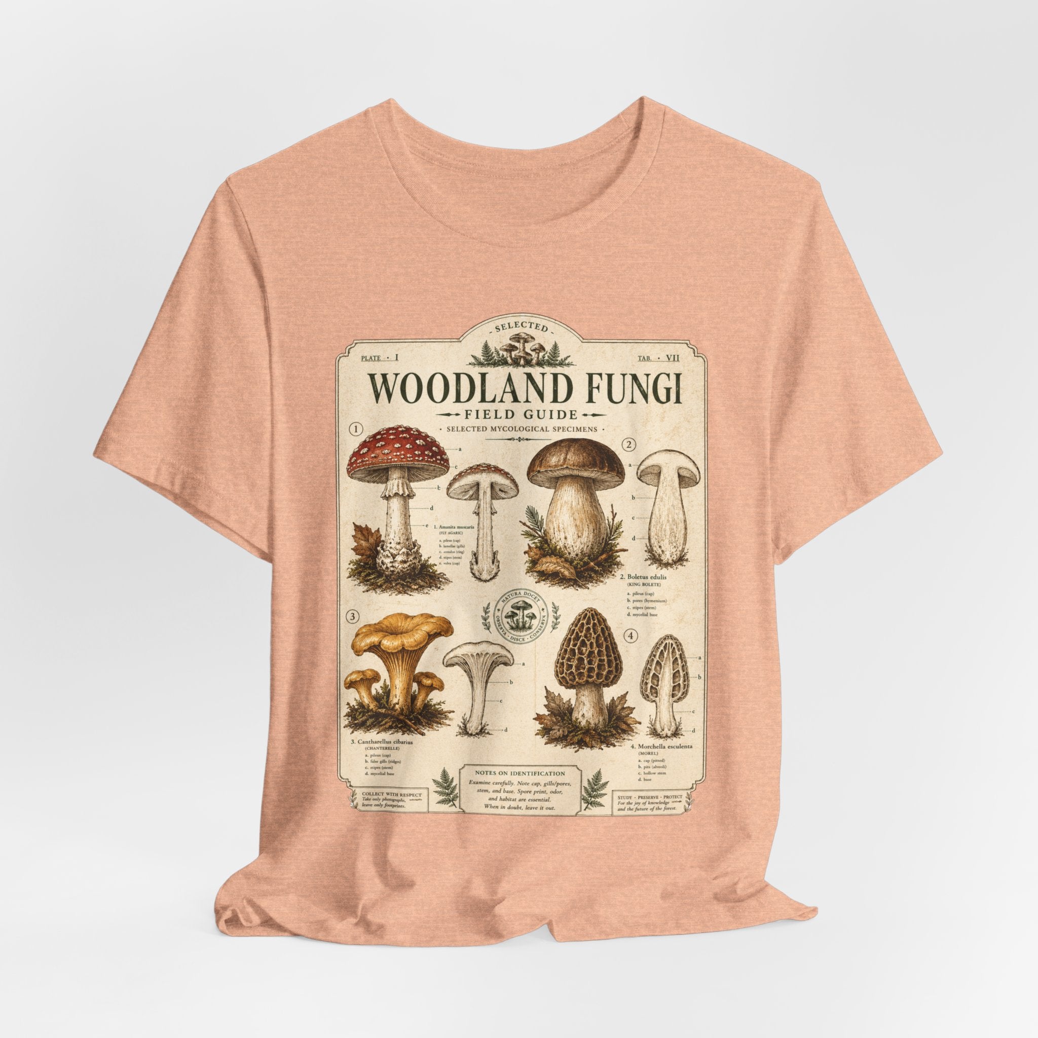 Woodland Fungi Field Guide Tee in Heather Peach - fungi field guide graphic outdoor shirt, Barely Outdoorsy