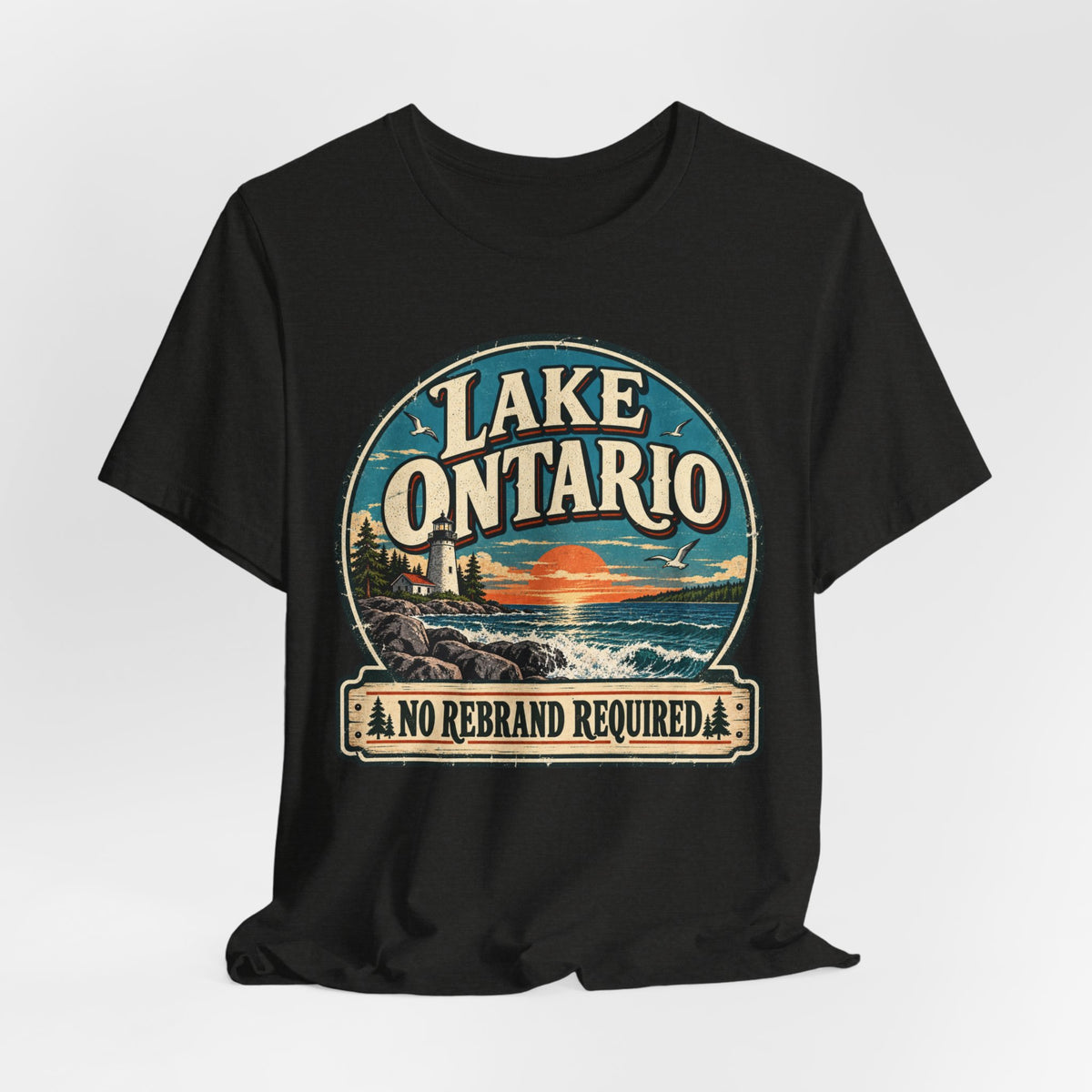 Lake Ontario No Rebrand Required T-Shirt in Red - funny Lake Ontario no rebrand graphic tee, Barely Outdoorsy Bella Canvas