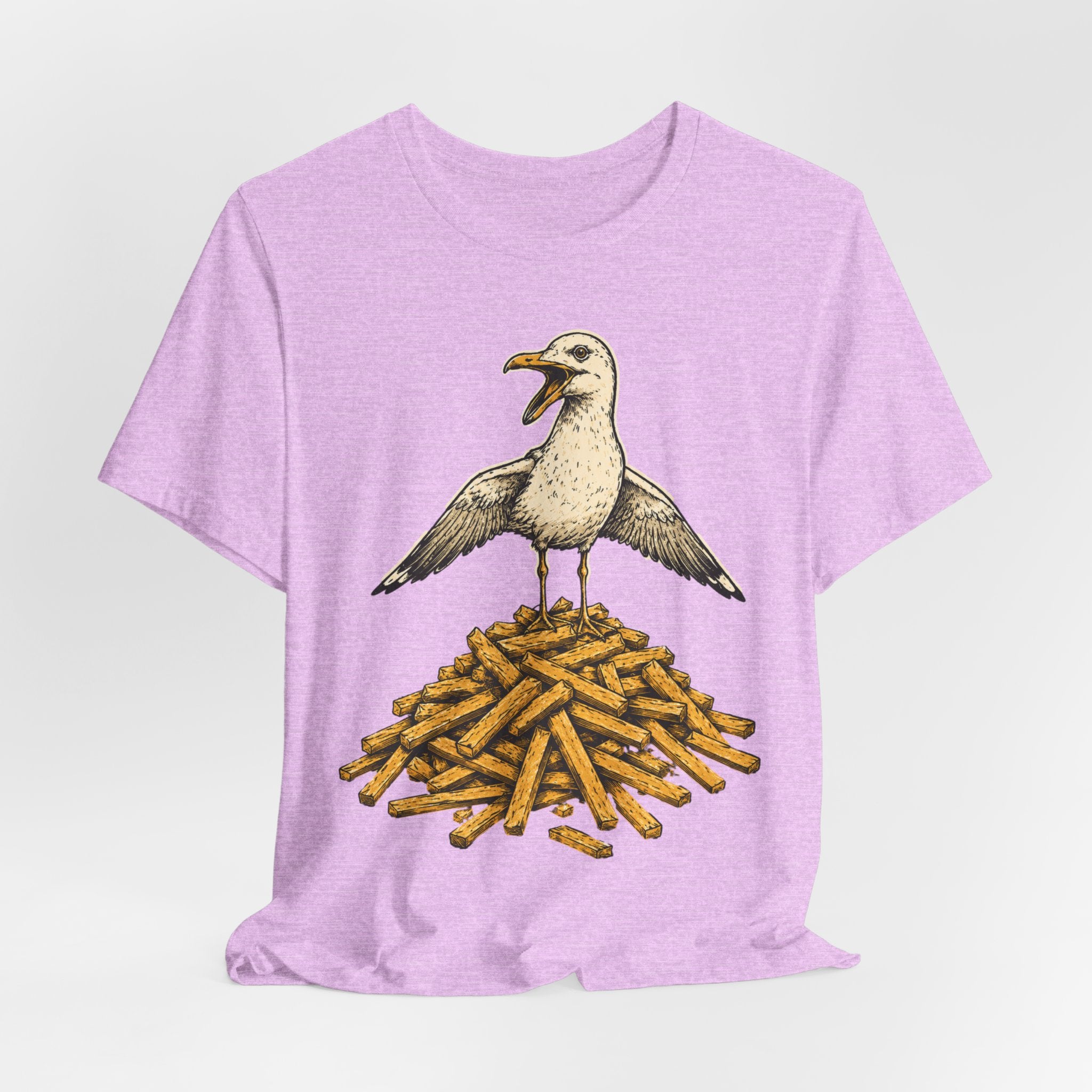 Seagull French Fry Mountain T-Shirt in Heather Ice Blue worn shot - funny seagull mountain humor shirt, Barely Outdoorsy