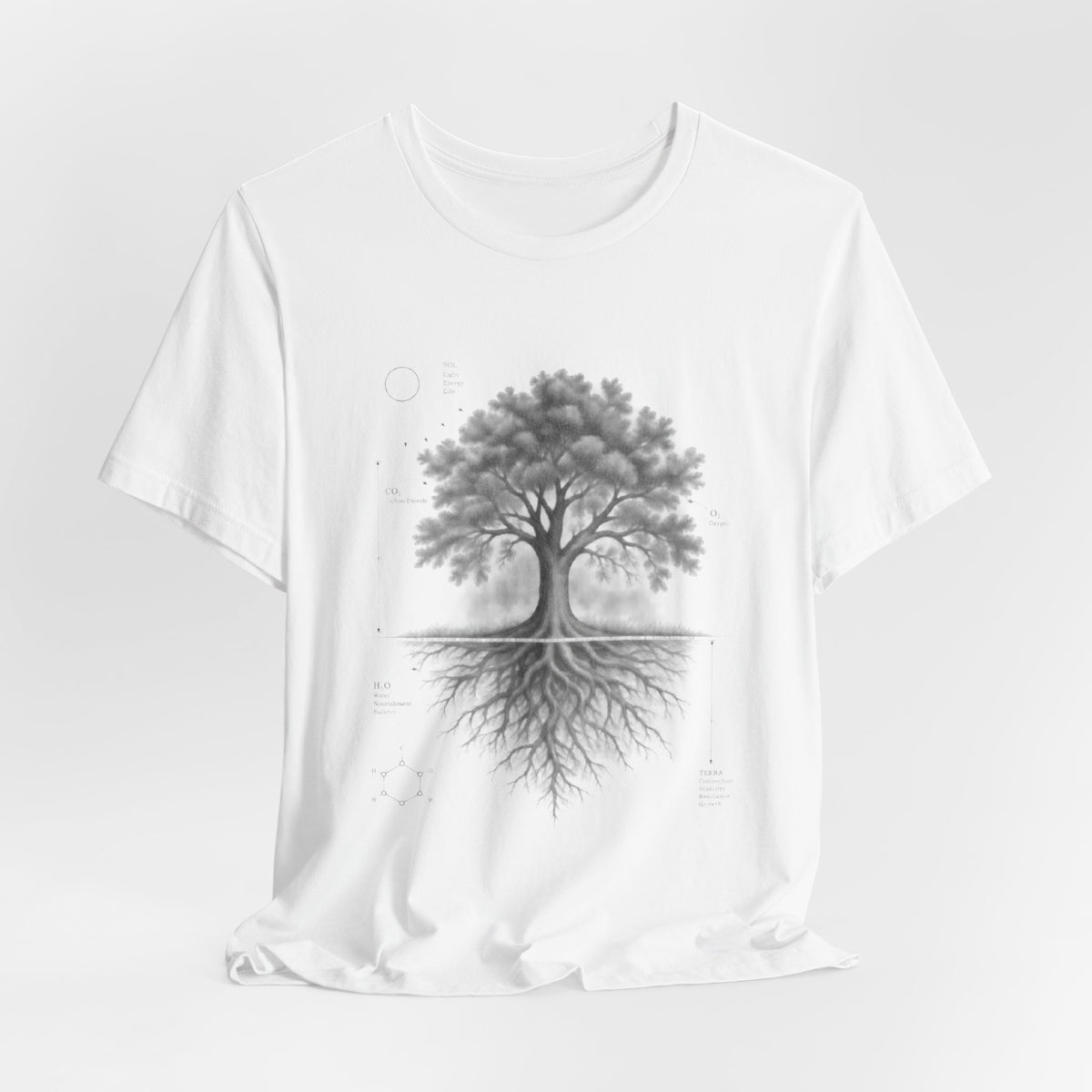 Tree of Life Photosynthesis Diagram T-Shirt in Heather Peach - science tree of life graphic tee, Barely Outdoorsy Bella Canvas