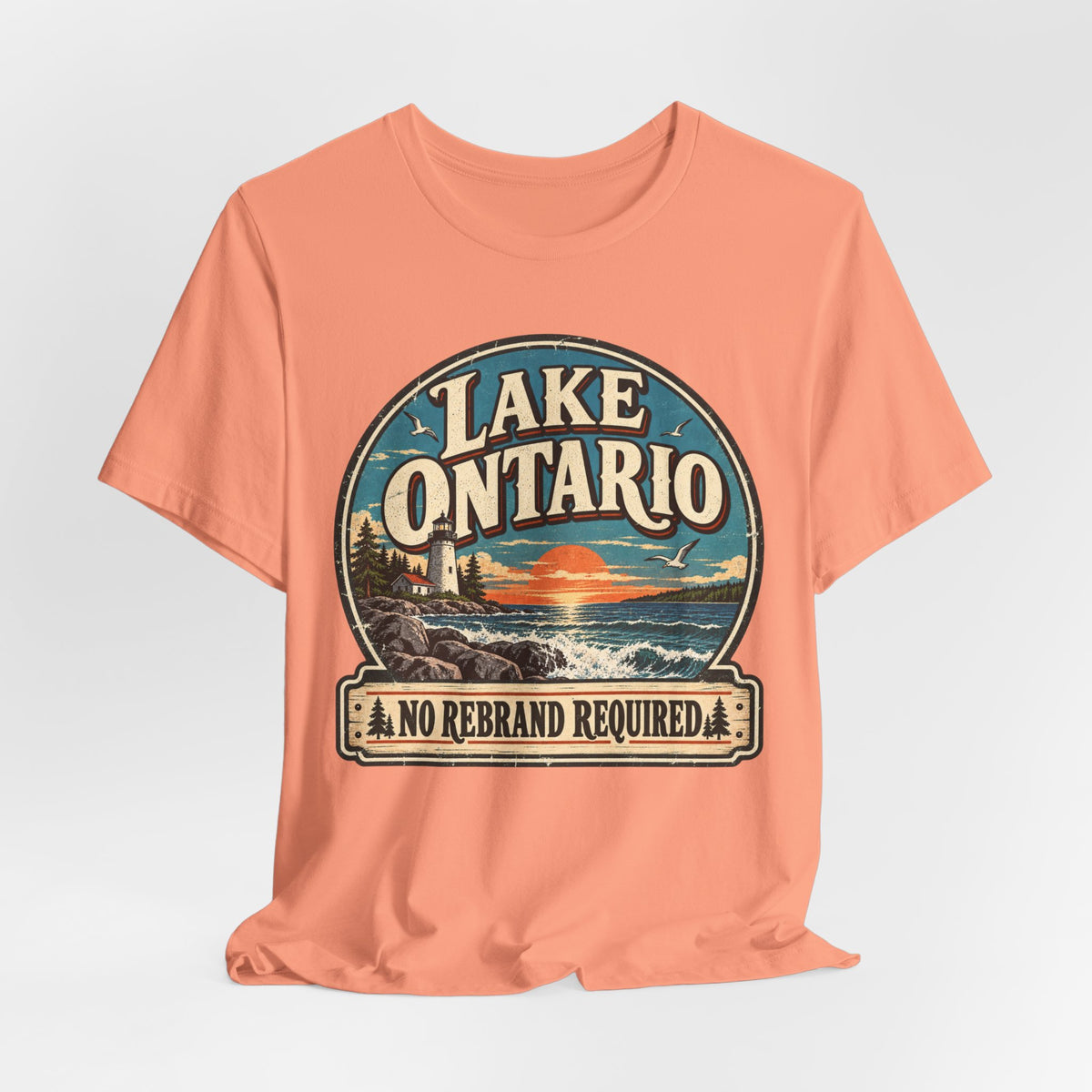 Lake Ontario No Rebrand Required Tee in Sunset - Lake Ontario no rebrand humor shirt, Barely Outdoorsy Bella Canvas