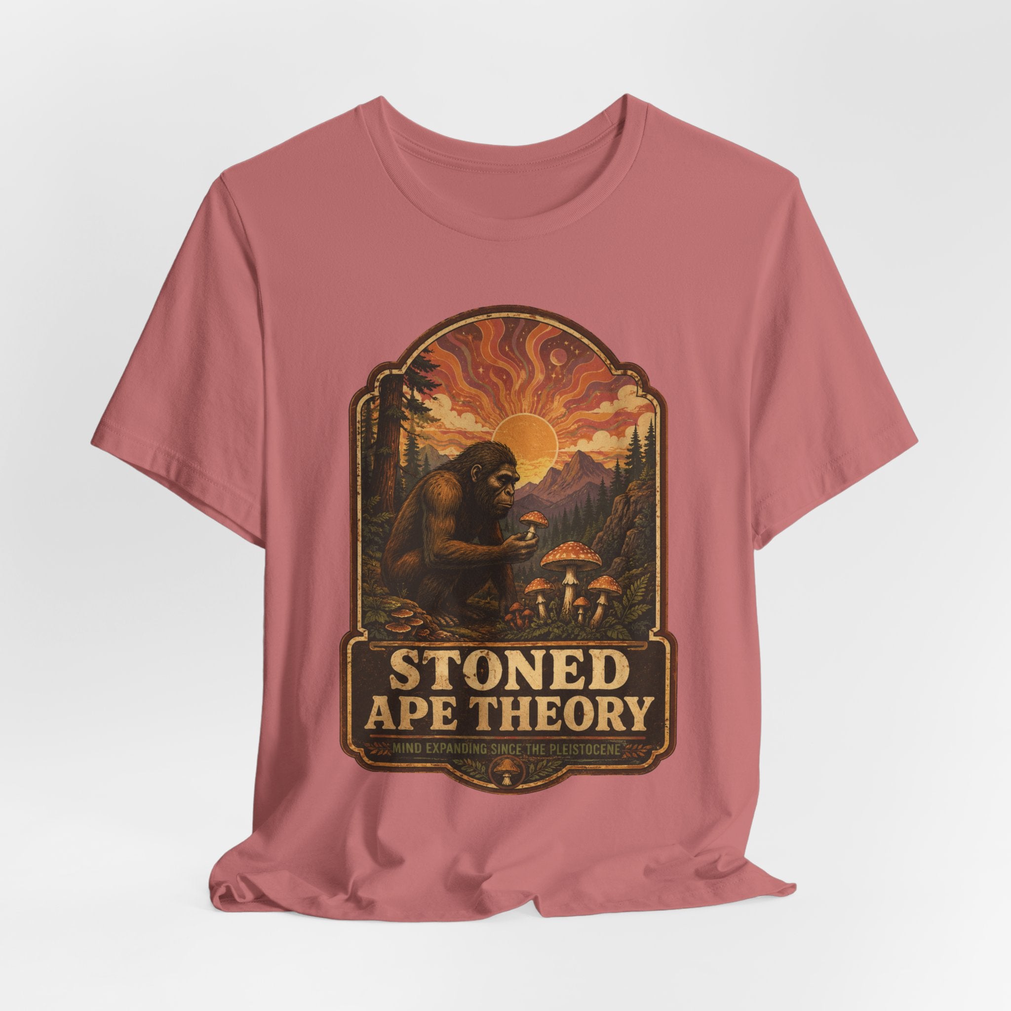 Stoned Ape Theory T-Shirt in Black - funny psychedelic evolution humor graphic tee, Barely Outdoorsy Bella Canvas 3001