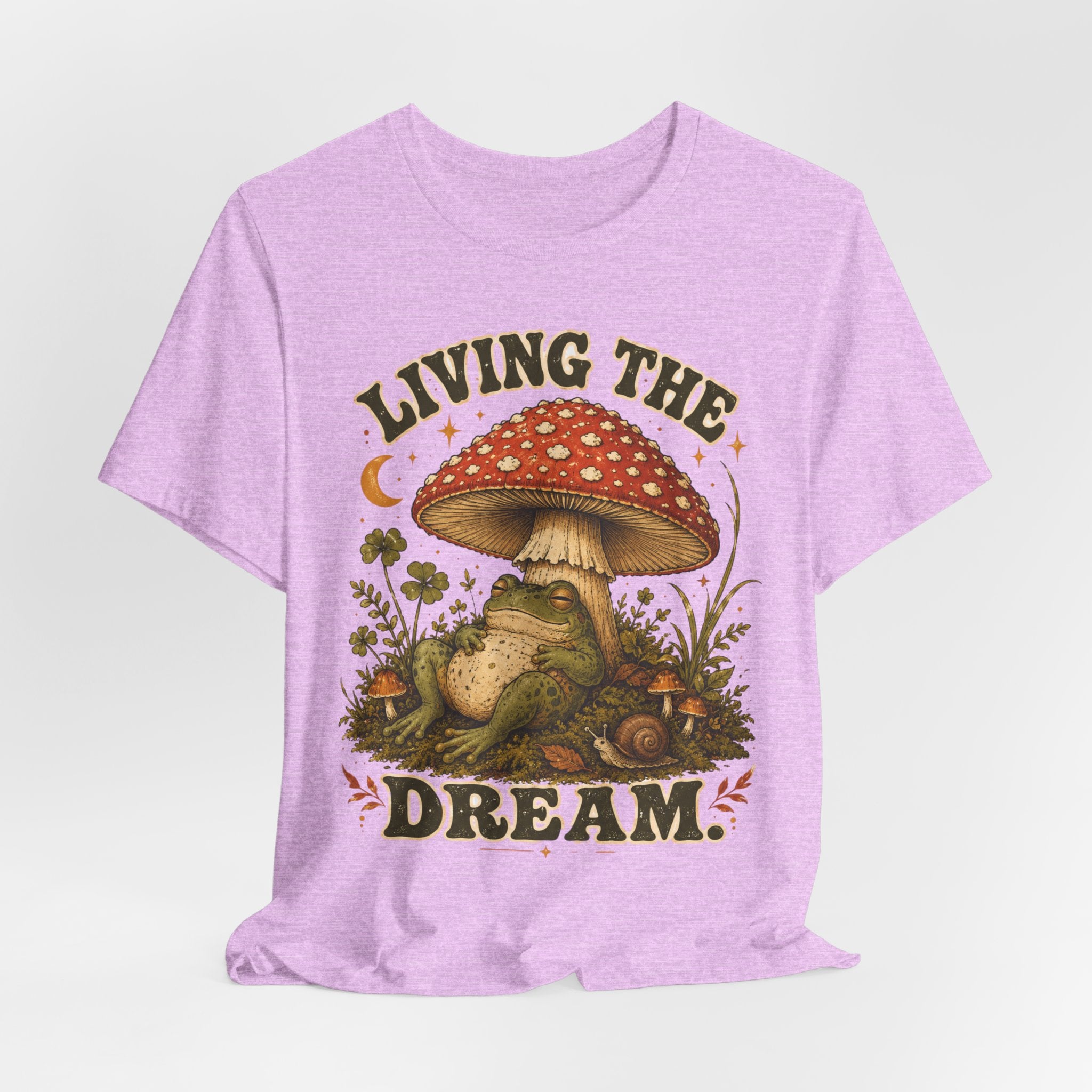 Living The Dream Frog T-Shirt in Mauve - funny chill frog graphic tee, Barely Outdoorsy Bella Canvas