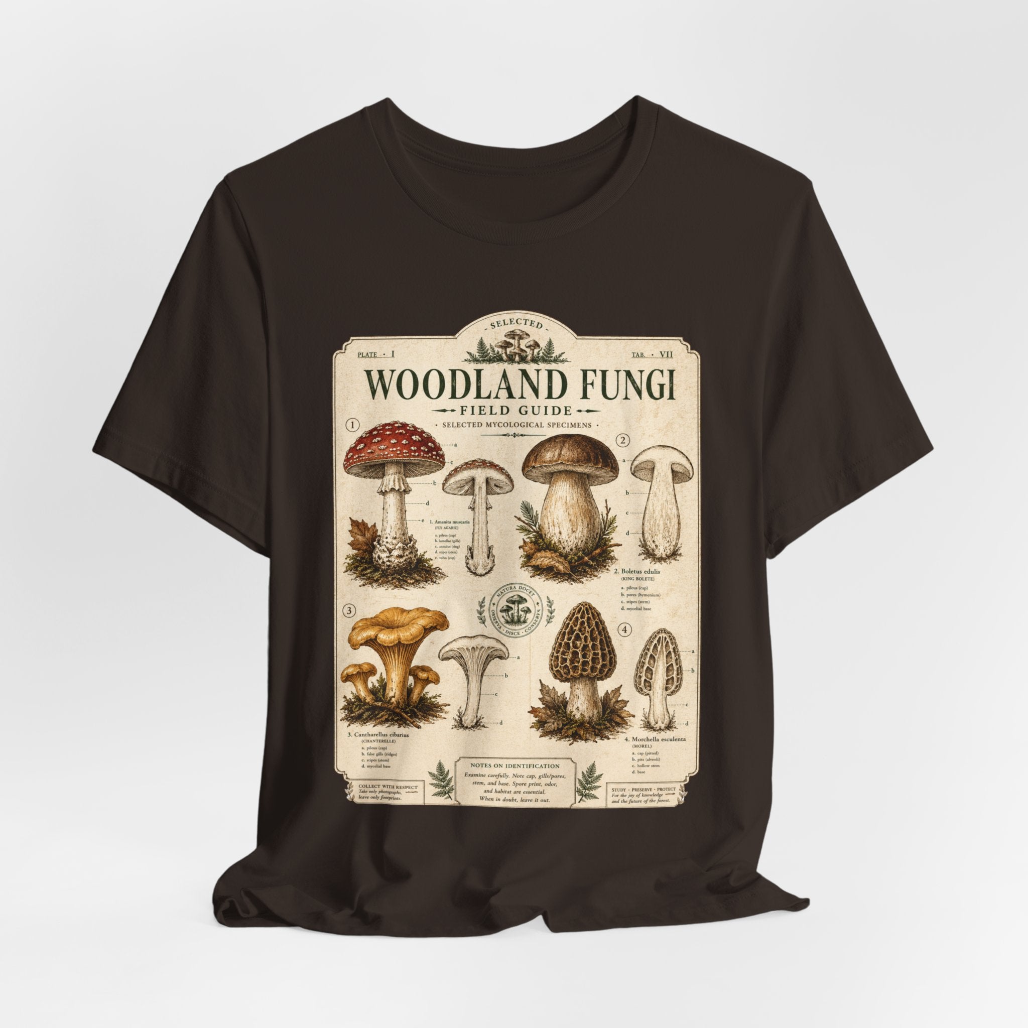 Woodland Fungi Field Guide T-Shirt in Mauve - vintage fungi illustration graphic tee, Barely Outdoorsy