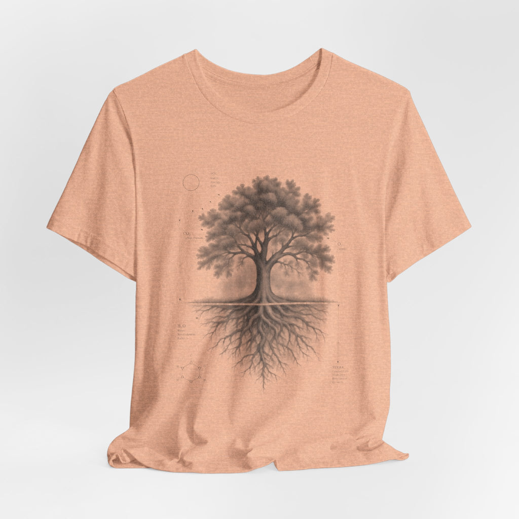Tree of Life Photosynthesis Diagram T-Shirt in White - vintage science tree of life photosynthesis graphic tee, Barely Outdoorsy Bella Canvas 3001