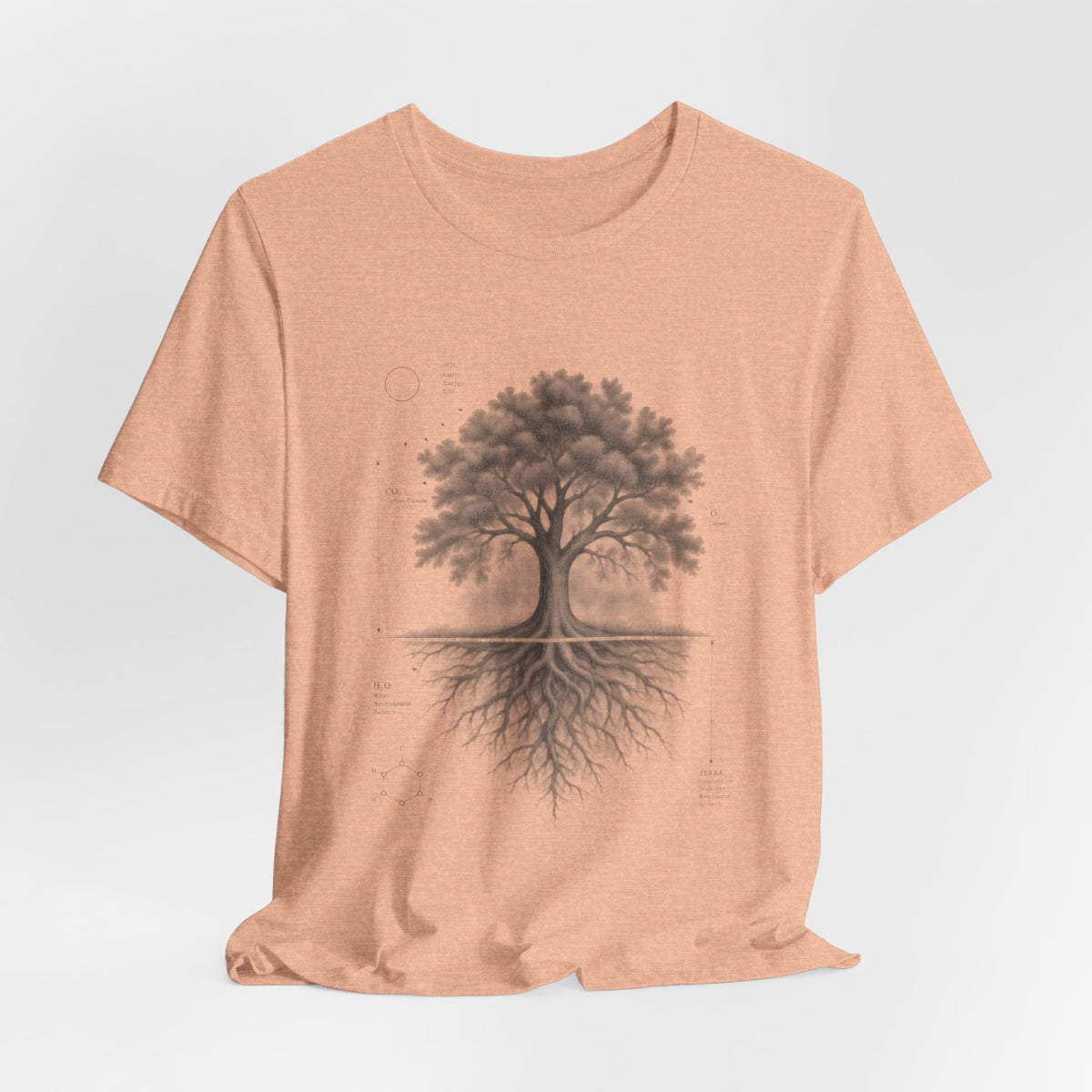 Tree of Life Photosynthesis Diagram T-Shirt in White - vintage science tree of life photosynthesis graphic tee, Barely Outdoorsy Bella Canvas 3001