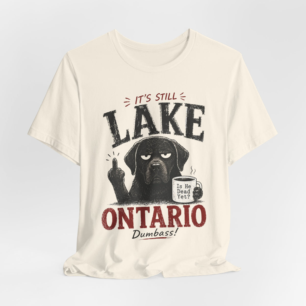 It's Still Lake Ontario Dumbass T-Shirt in White - funny Great Lakes Lake Ontario graphic tee, Barely Outdoorsy Bella Canvas