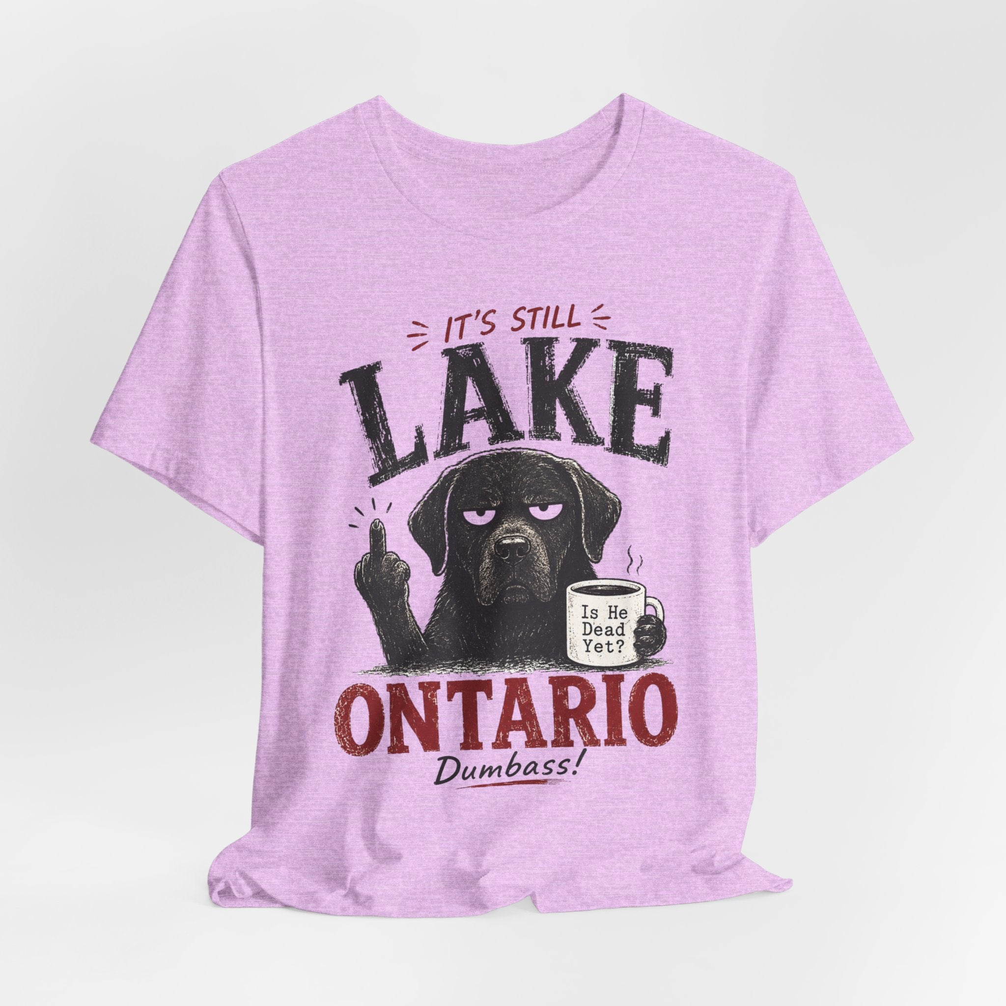 It's Still Lake Ontario Dumbass Tee in Pink detail - Lake Ontario humor close-up graphic, Barely Outdoorsy Bella Canvas 3001