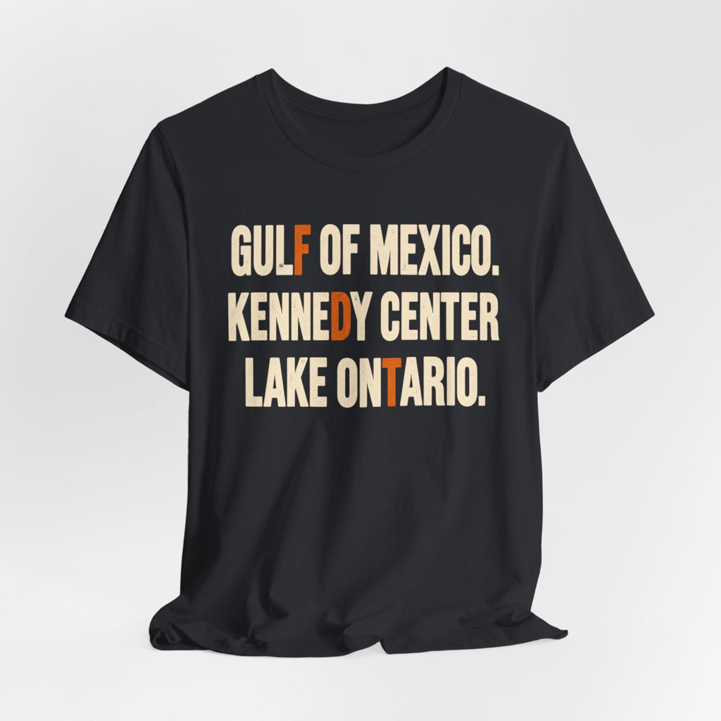 Gulf of Mexico Kennedy Center Lake Ontario T-Shirt in Heather Brown - bold distressed block letter resistance graphic tee, Barely Outdoorsy Bella Canvas 3001