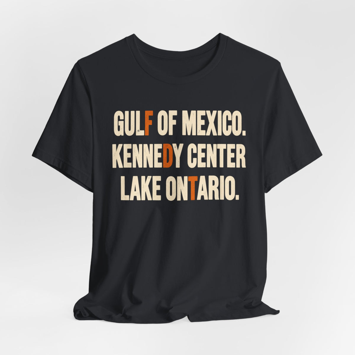 Gulf of Mexico Kennedy Center Lake Ontario T-Shirt in Heather Brown - bold distressed block letter resistance graphic tee, Barely Outdoorsy Bella Canvas 3001