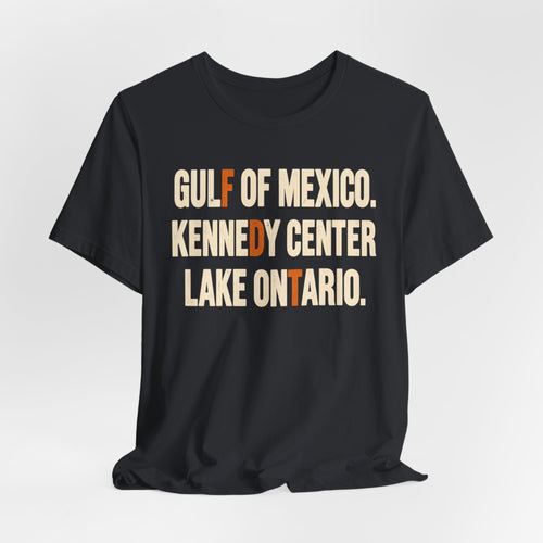Gulf of Mexico Kennedy Center Lake Ontario T-Shirt in Heather Brown - bold distressed block letter resistance graphic tee, Barely Outdoorsy Bella Canvas 3001