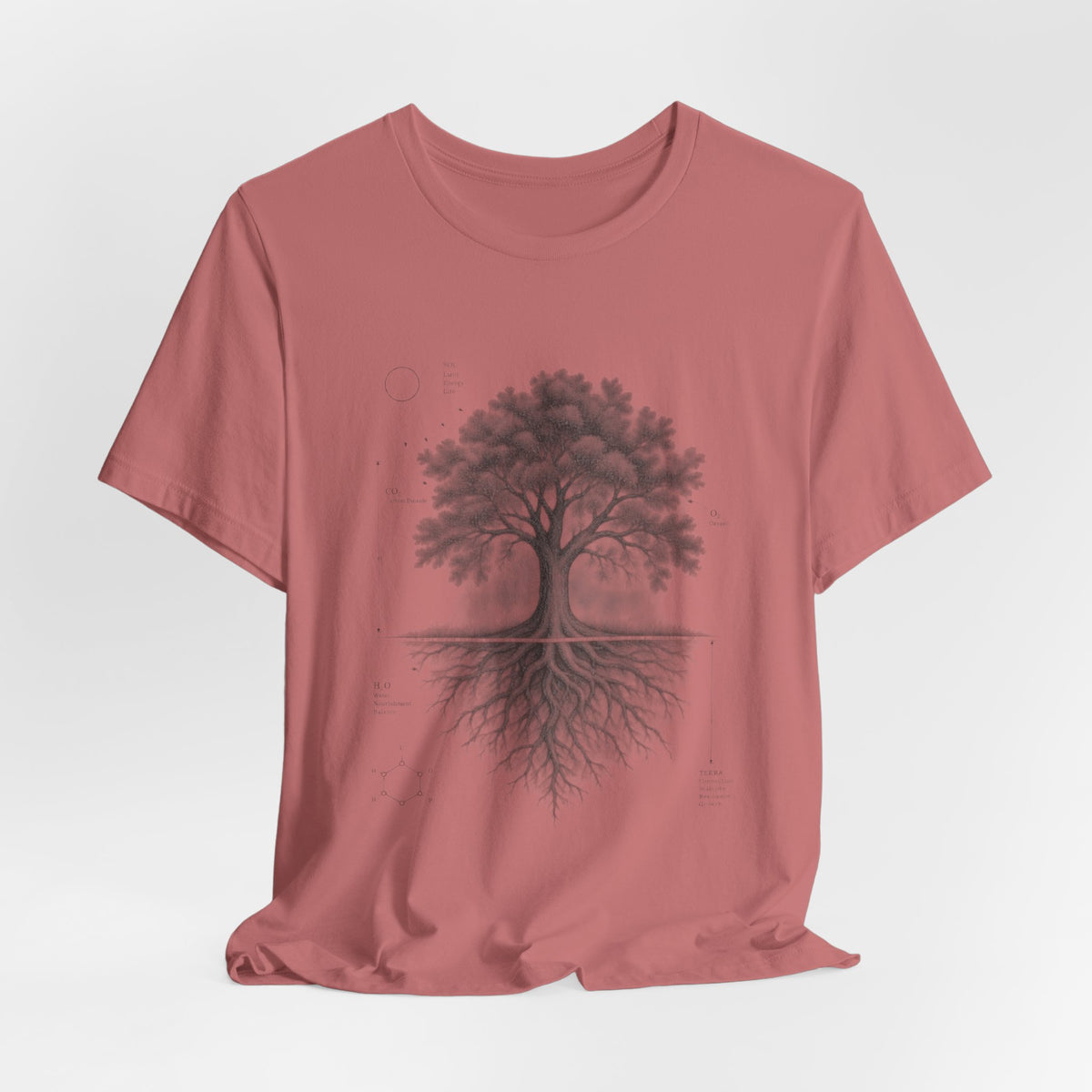 Tree of Life Photosynthesis Diagram T-Shirt flat lay White - unisex crew neck photosynthesis graphic tee, Barely Outdoorsy