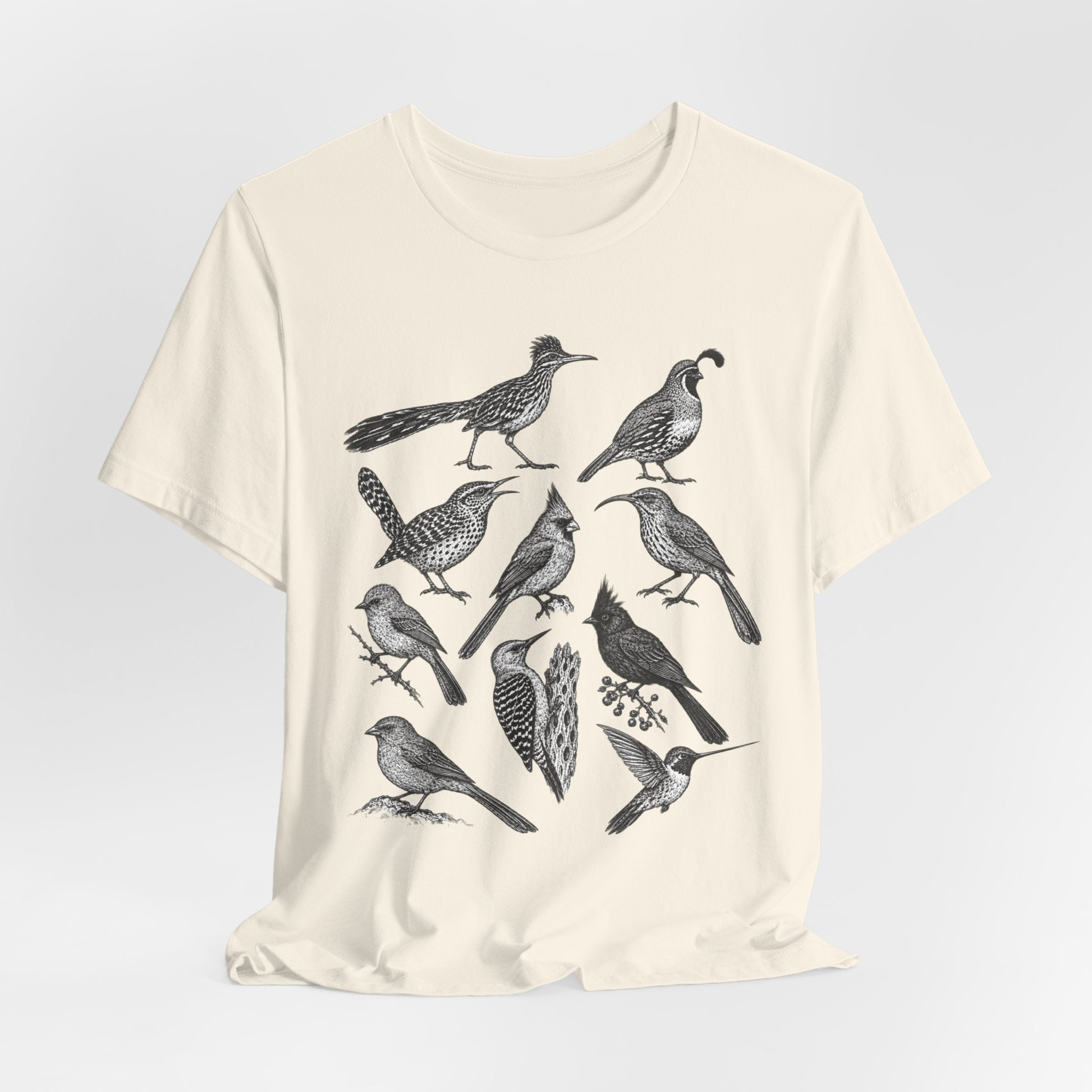 Desert Birds Field Guide T-Shirt in Heather True Royal - vintage naturalist desert birds field guide graphic tee, Barely Outdoorsy Bella Canvas 3001