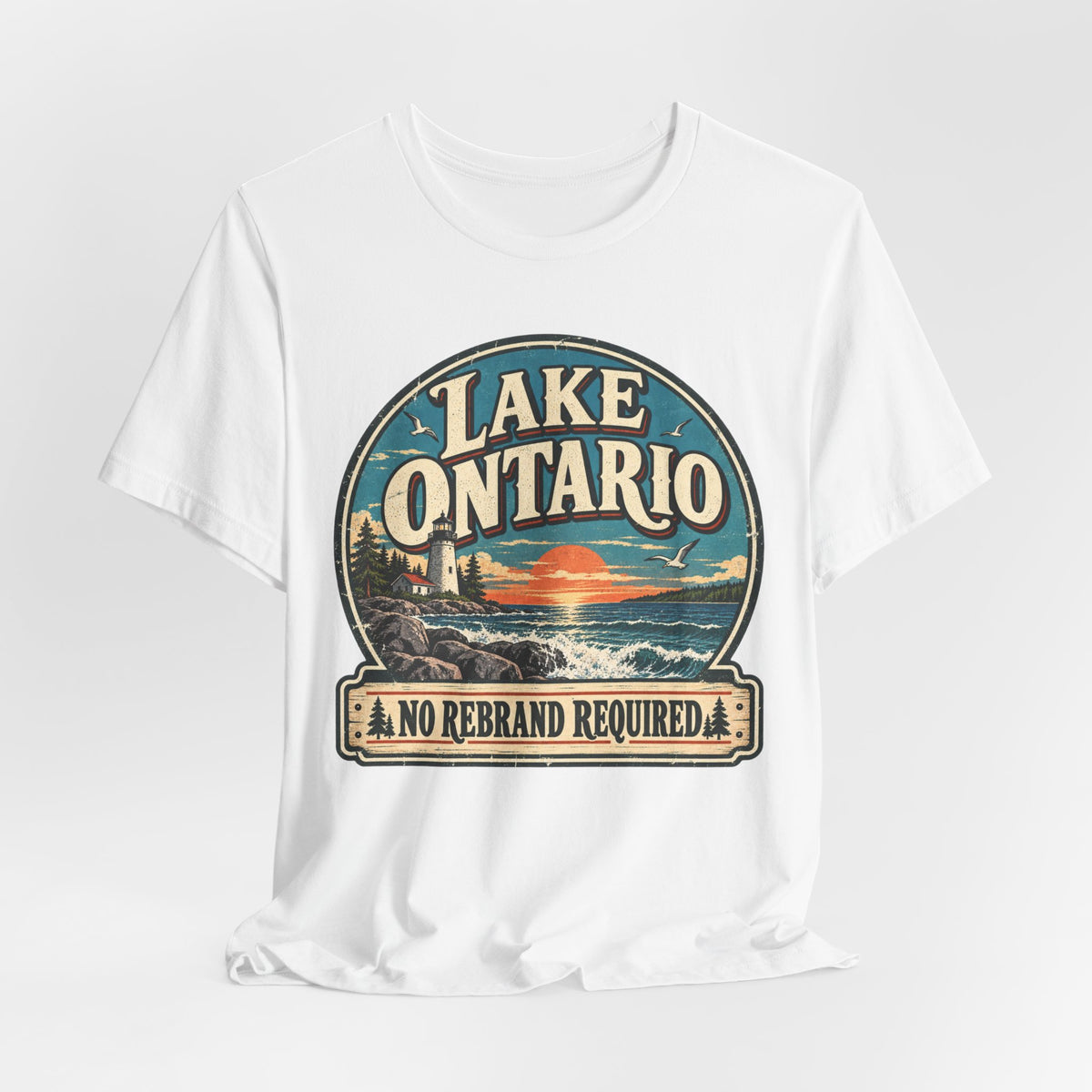 Lake Ontario No Rebrand Required Tee in Navy - Lake Ontario no rebrand humor shirt, Barely Outdoorsy