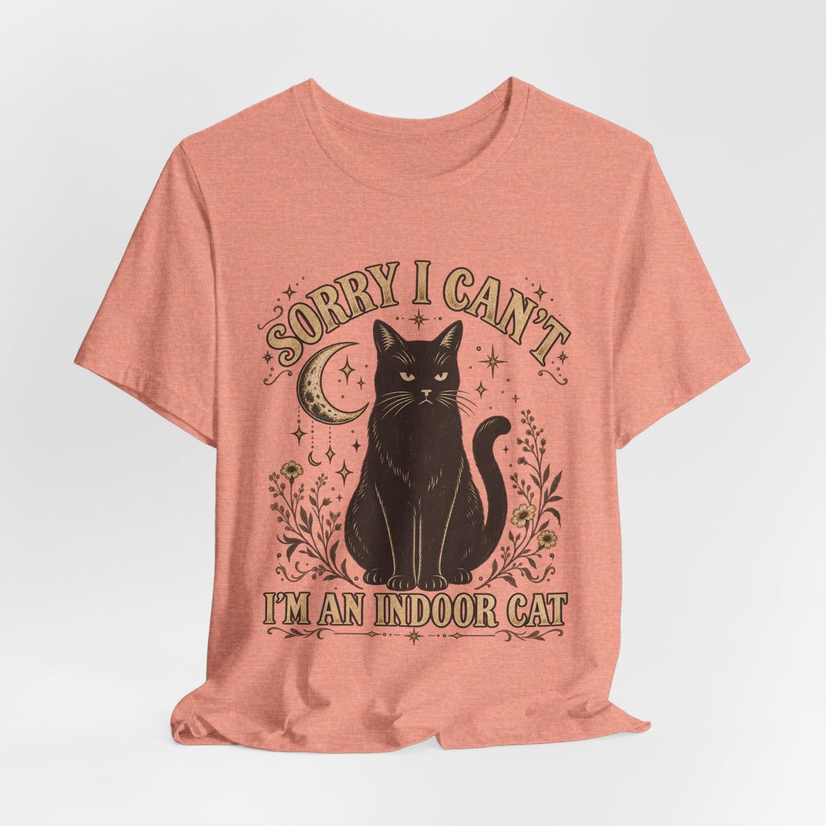 Sorry I Can't I'm an Indoor Cat Tee in Heather Stone - funny indoor cat humor shirt, Barely Outdoorsy Bella Canvas