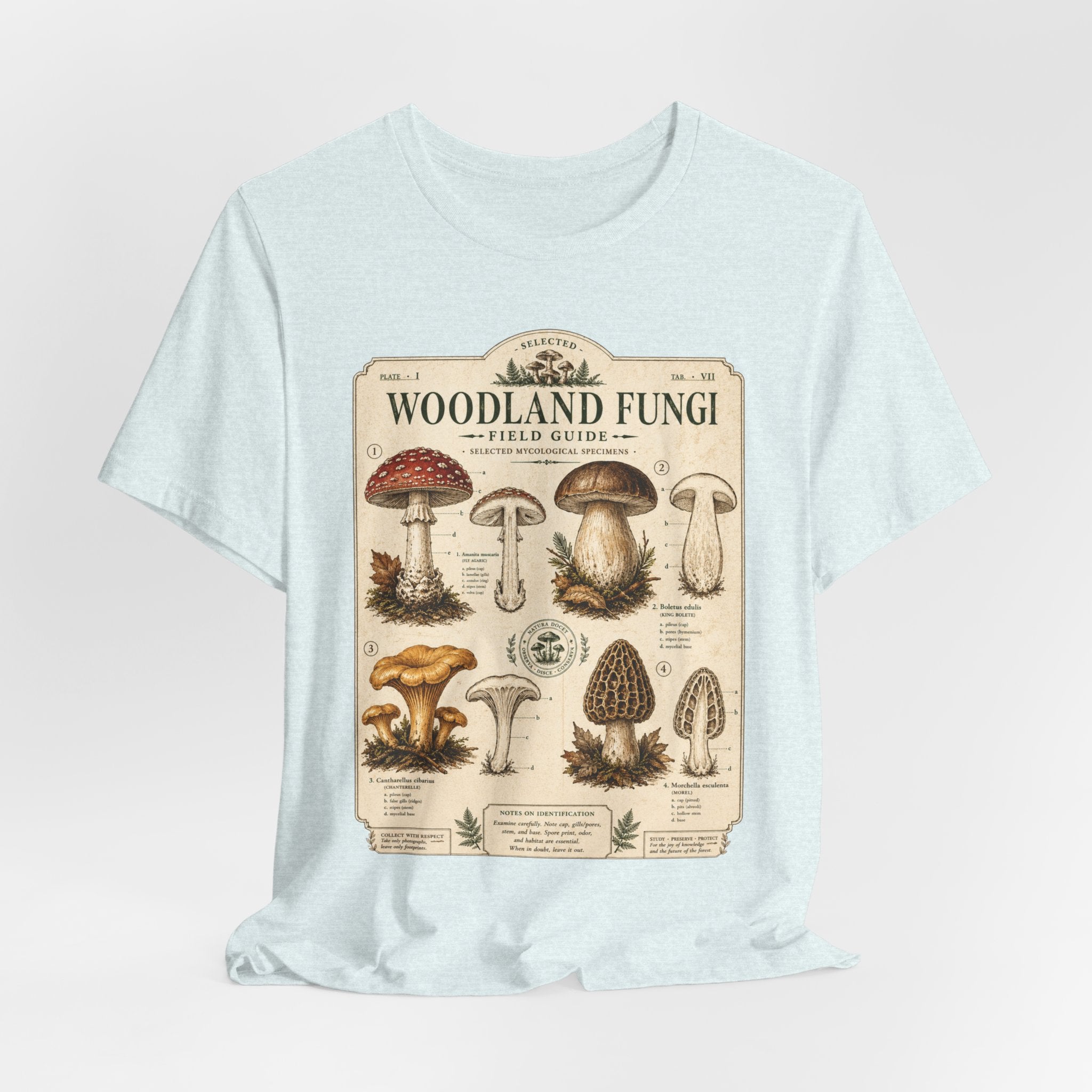 Woodland Fungi Field Guide Tee in Pink - vintage fungi illustration graphic shirt, Barely Outdoorsy Bella Canvas