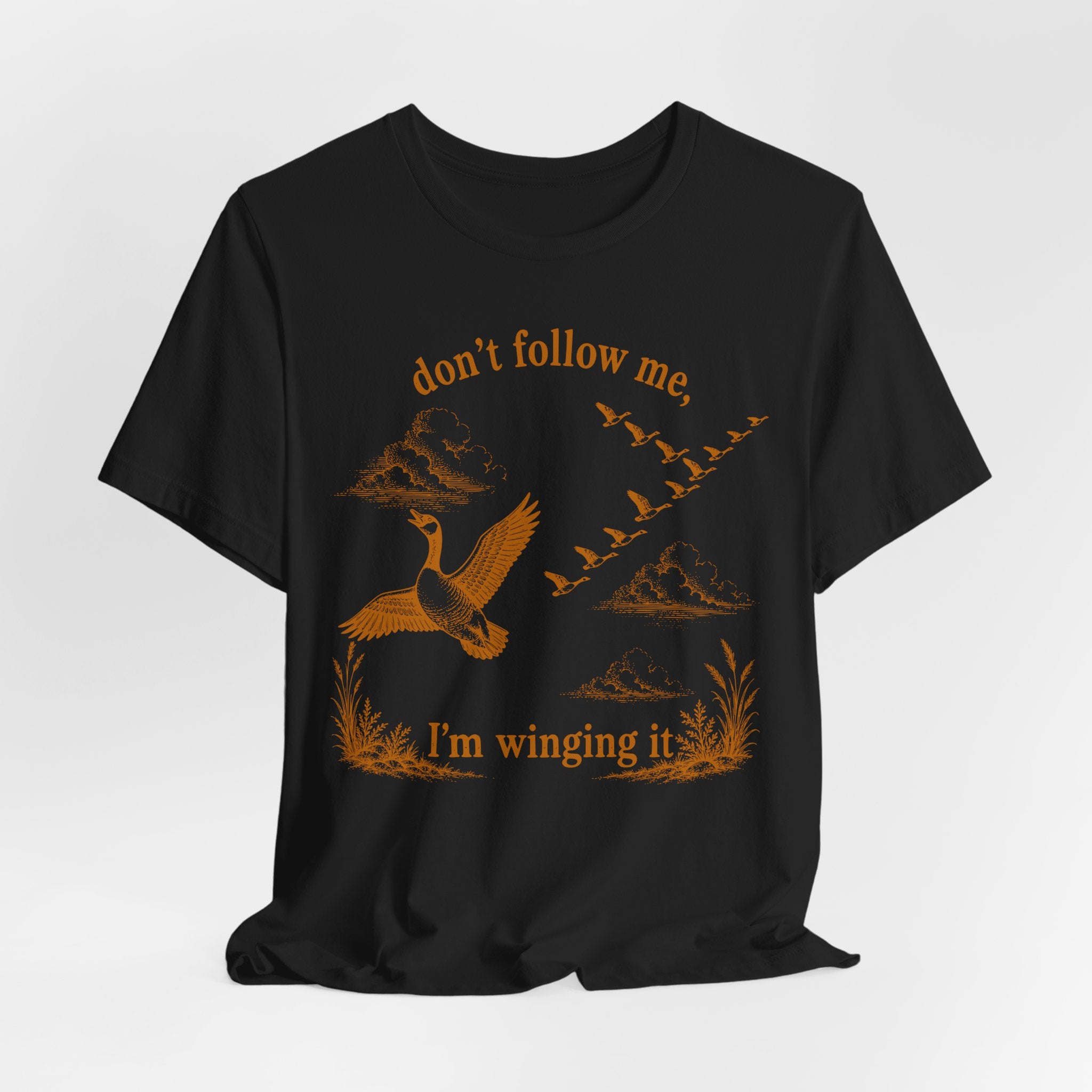 Don't Follow Me I'm Winging It