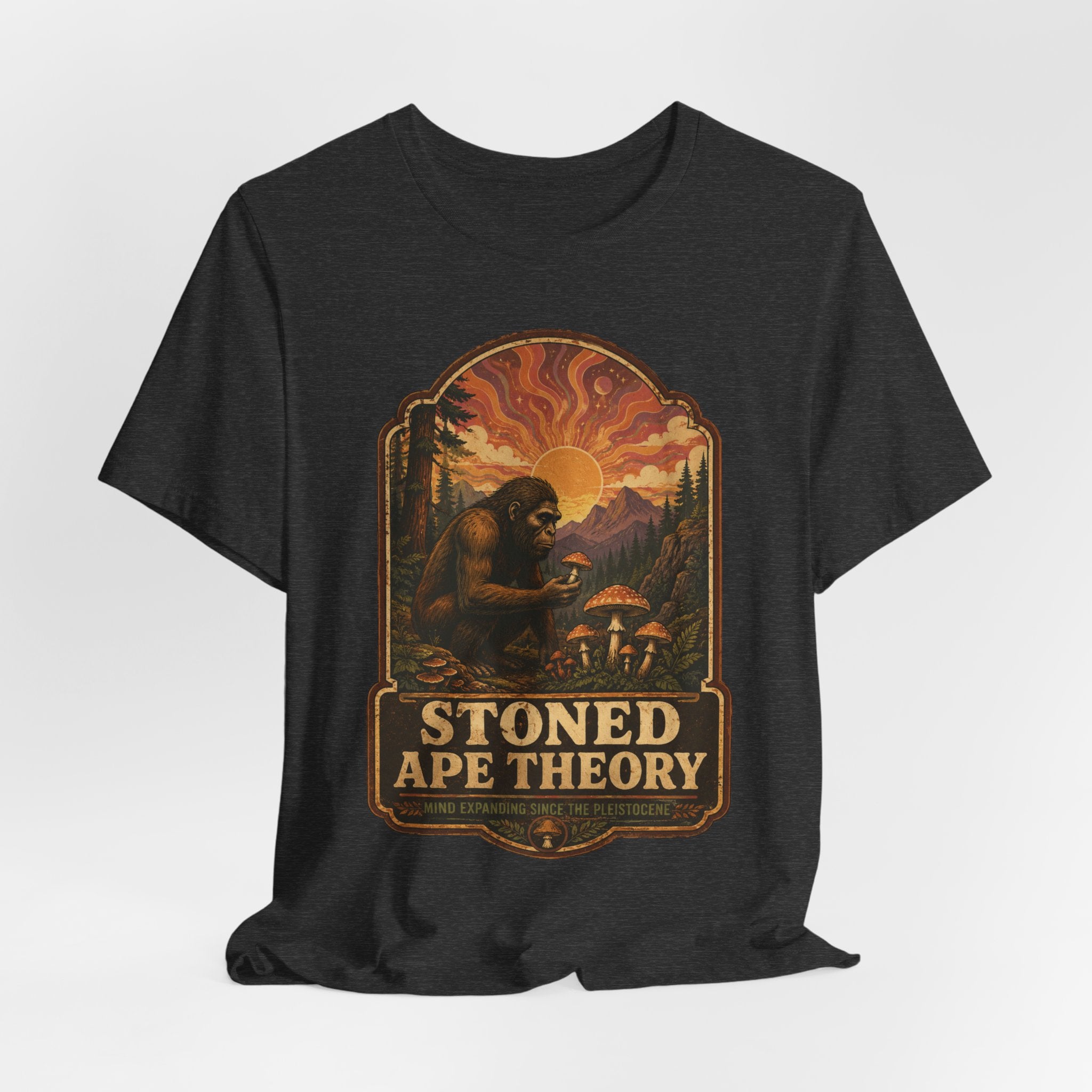 Stoned Ape Theory T-Shirt in Brown - psychedelic evolution humor graphic tee, Barely Outdoorsy Bella Canvas
