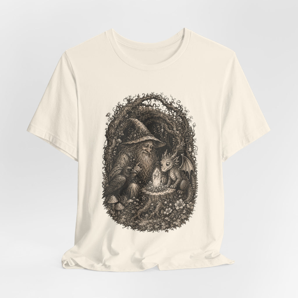 Wizard and Dragon T-Shirt in Pink - painterly fantasy wizard dragon graphic tee, Barely Outdoorsy Bella Canvas