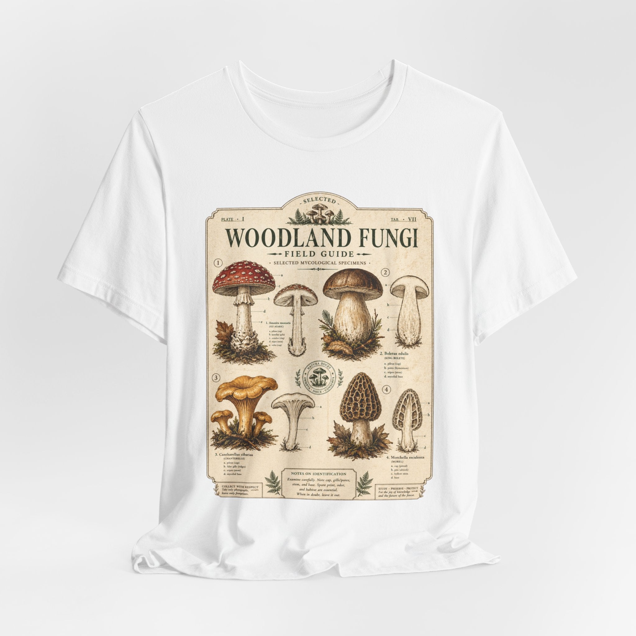 Woodland Fungi Field Guide T-Shirt in Navy - mushroom field guide illustration humor tee, Barely Outdoorsy