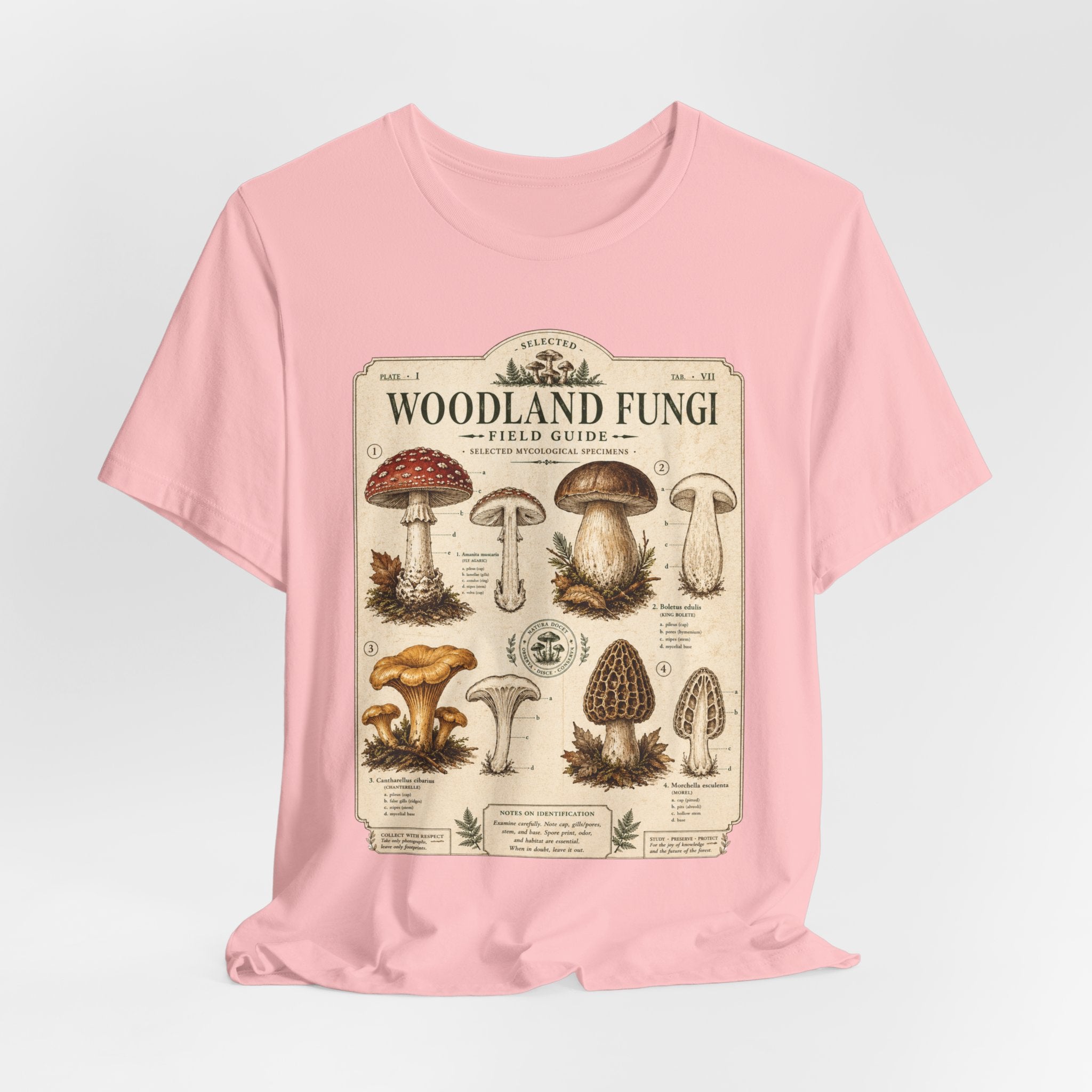 Woodland Fungi Field Guide T-Shirt in White - mushroom foraging vintage illustration tee, Barely Outdoorsy