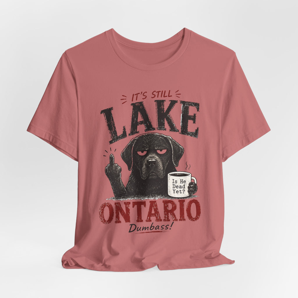 It's Still Lake Ontario Dumbass Tee in Heather Peach - funny Lake Ontario humor shirt, Barely Outdoorsy Bella Canvas 3001