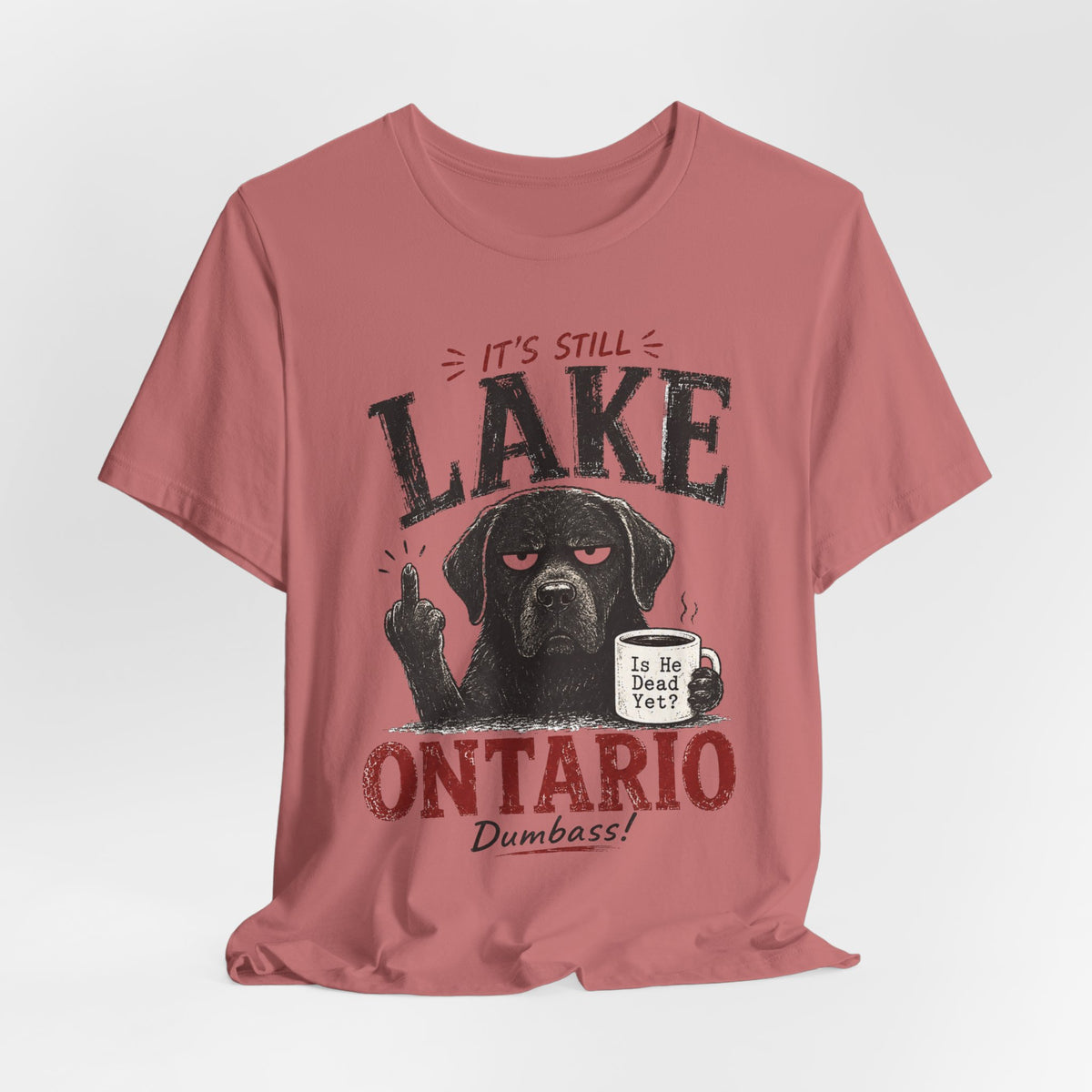 It's Still Lake Ontario Dumbass Tee in Heather Peach - funny Lake Ontario humor shirt, Barely Outdoorsy Bella Canvas 3001