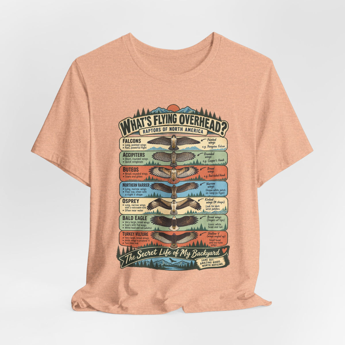 Raptors of North America Identification T-Shirt in Dark Grey Heather - vintage field guide raptors identification graphic tee, Barely Outdoorsy Bella Canvas 3001