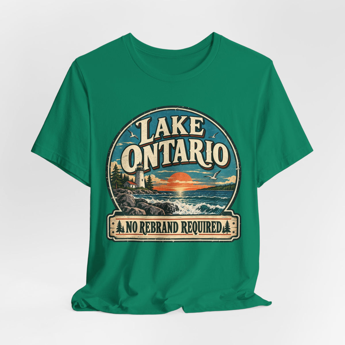 Lake Ontario No Rebrand Required Tee in White - Lake Ontario no rebrand required shirt, Barely Outdoorsy Bella Canvas 3001
