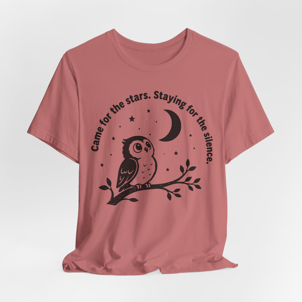 Came For The Stars Staying For The Silence T-Shirt in Ash - wide-eyed owl night silence graphic tee, Bella Canvas 3001