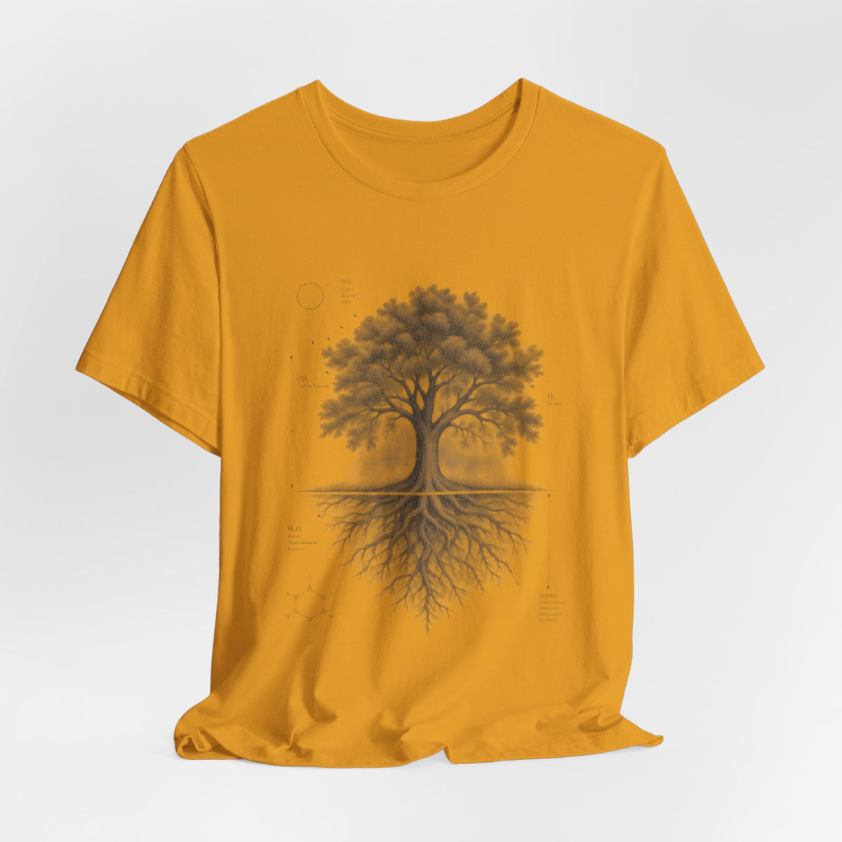 Tree of Life Photosynthesis Diagram Tee in Heather Ice Blue - vintage photosynthesis diagram shirt, Barely Outdoorsy Bella Canvas 3001