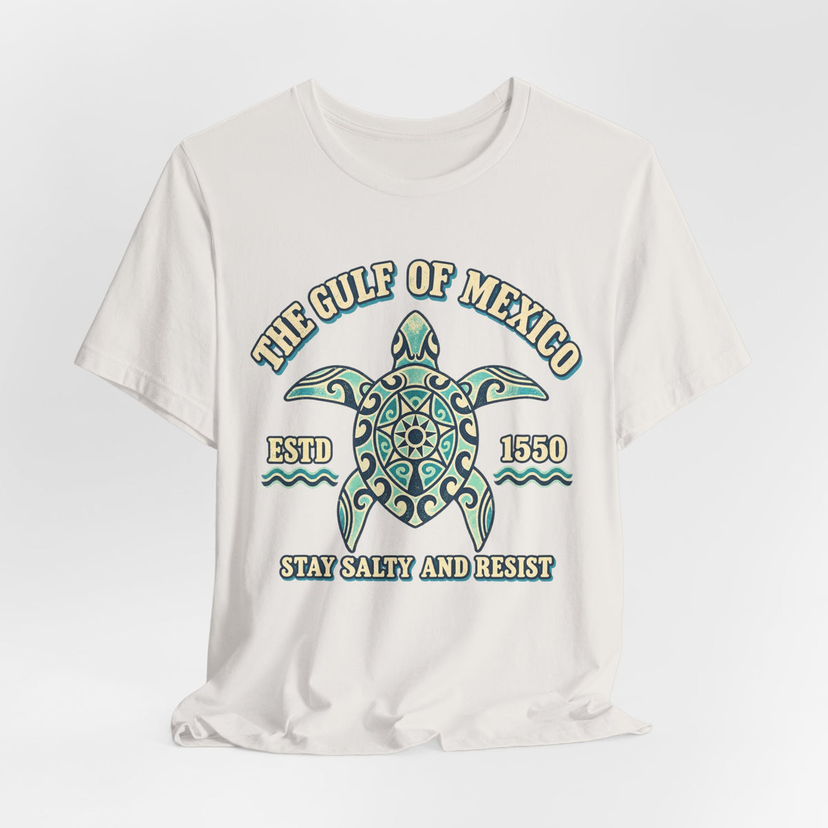 Gulf of Mexico Stay Salty and Resist T-Shirt in Heather Brown - sea turtle mandala stay salty resist graphic tee, Barely Outdoorsy Bella Canvas 3001