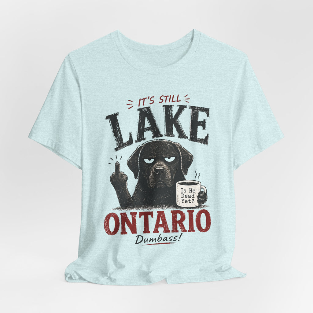 It's Still Lake Ontario Dumbass Tee in Heather Prism Lilac - funny Lake Ontario pride shirt, Barely Outdoorsy Bella Canvas