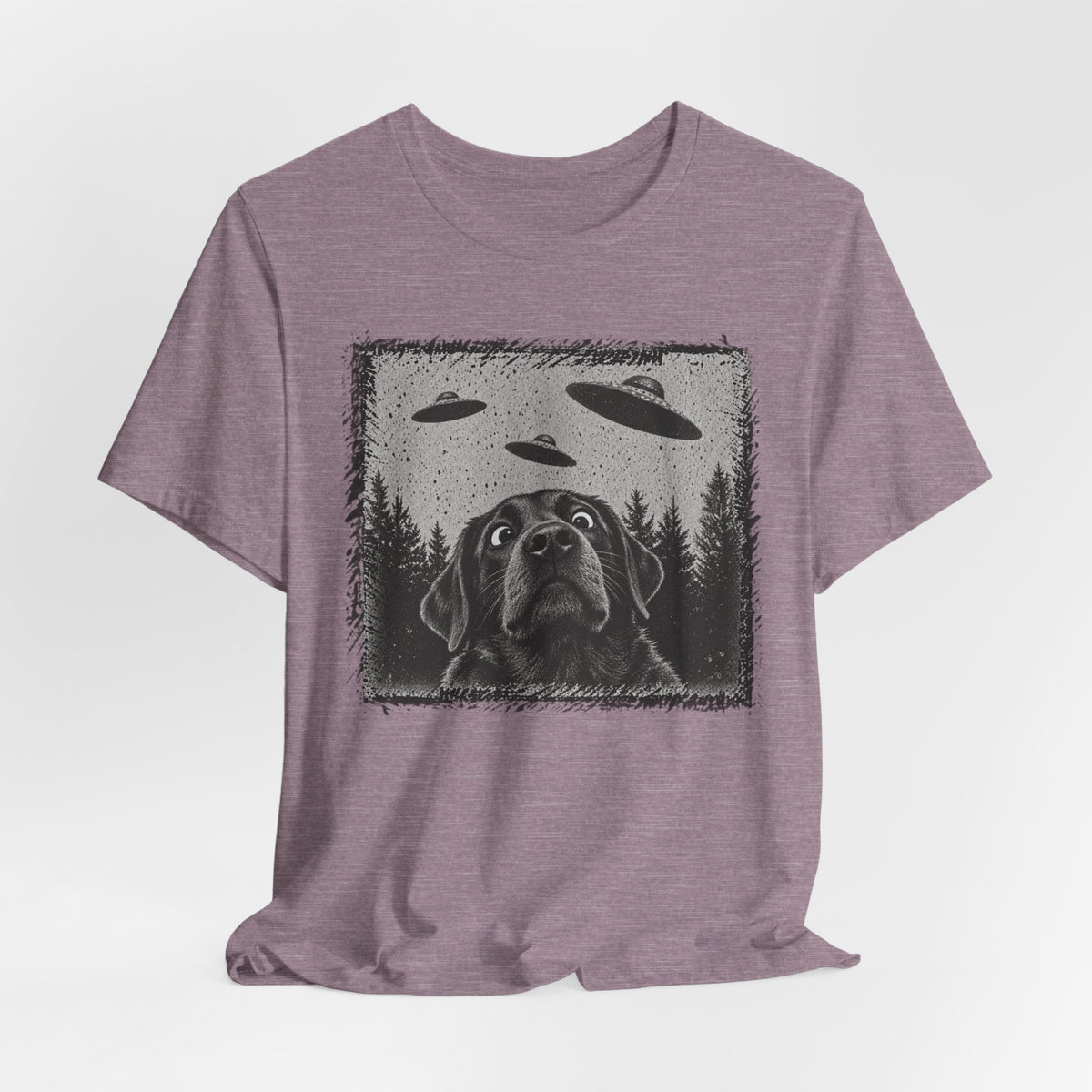 Black Lab UFO T-Shirt in Vintage White - funny black lab UFO graphic tee, Barely Outdoorsy Bella Canvas