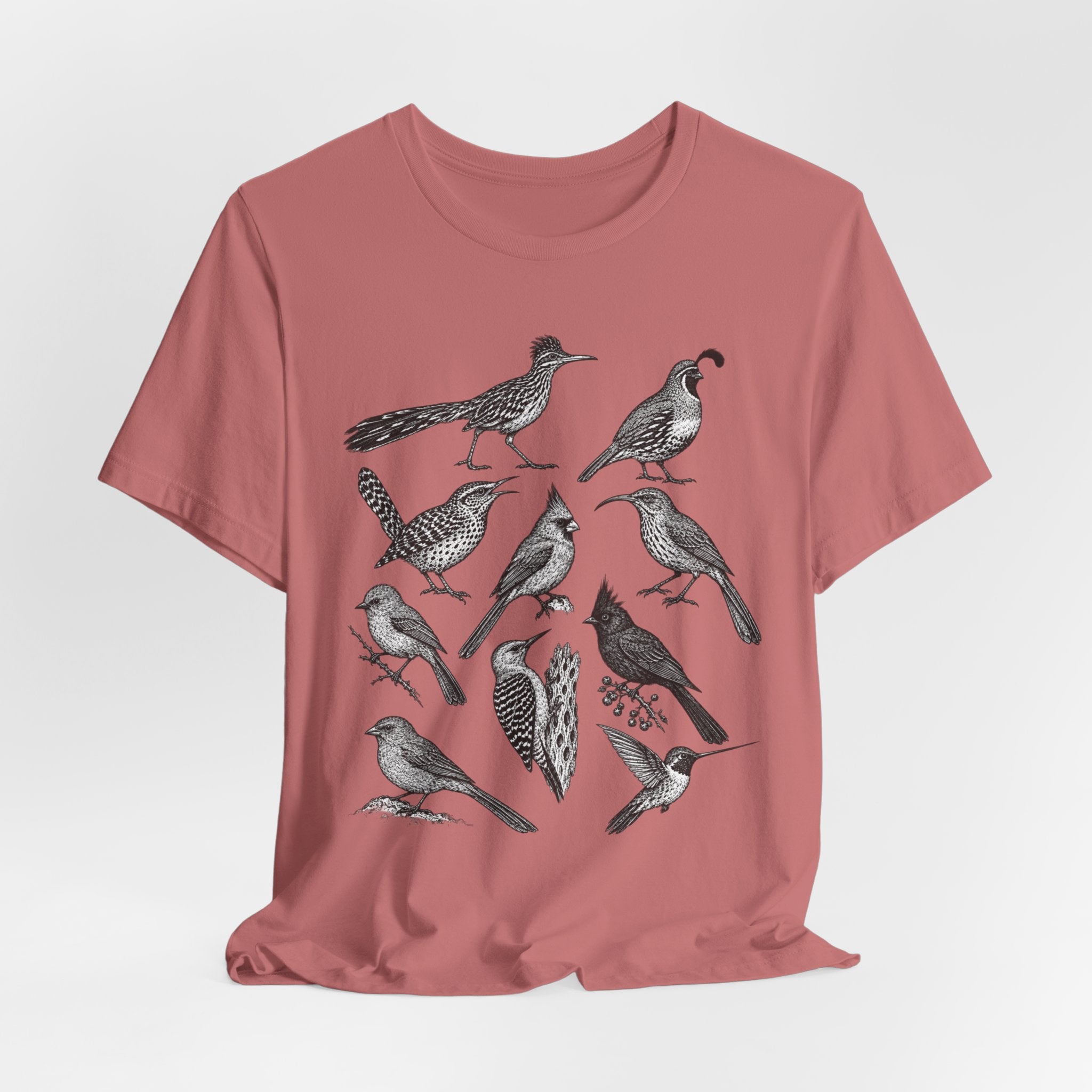 Desert Birds Field Guide T-Shirt in Ash - vintage naturalist desert birds graphic tee, Barely Outdoorsy Bella Canvas