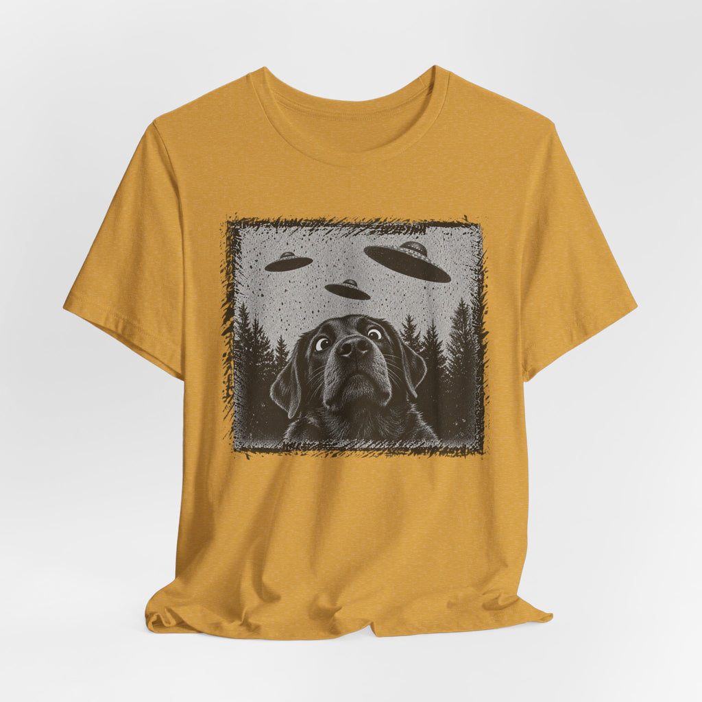 Black Lab UFO Tee flat lay Heather Green - unisex crew neck dog UFO graphic tee, Barely Outdoorsy