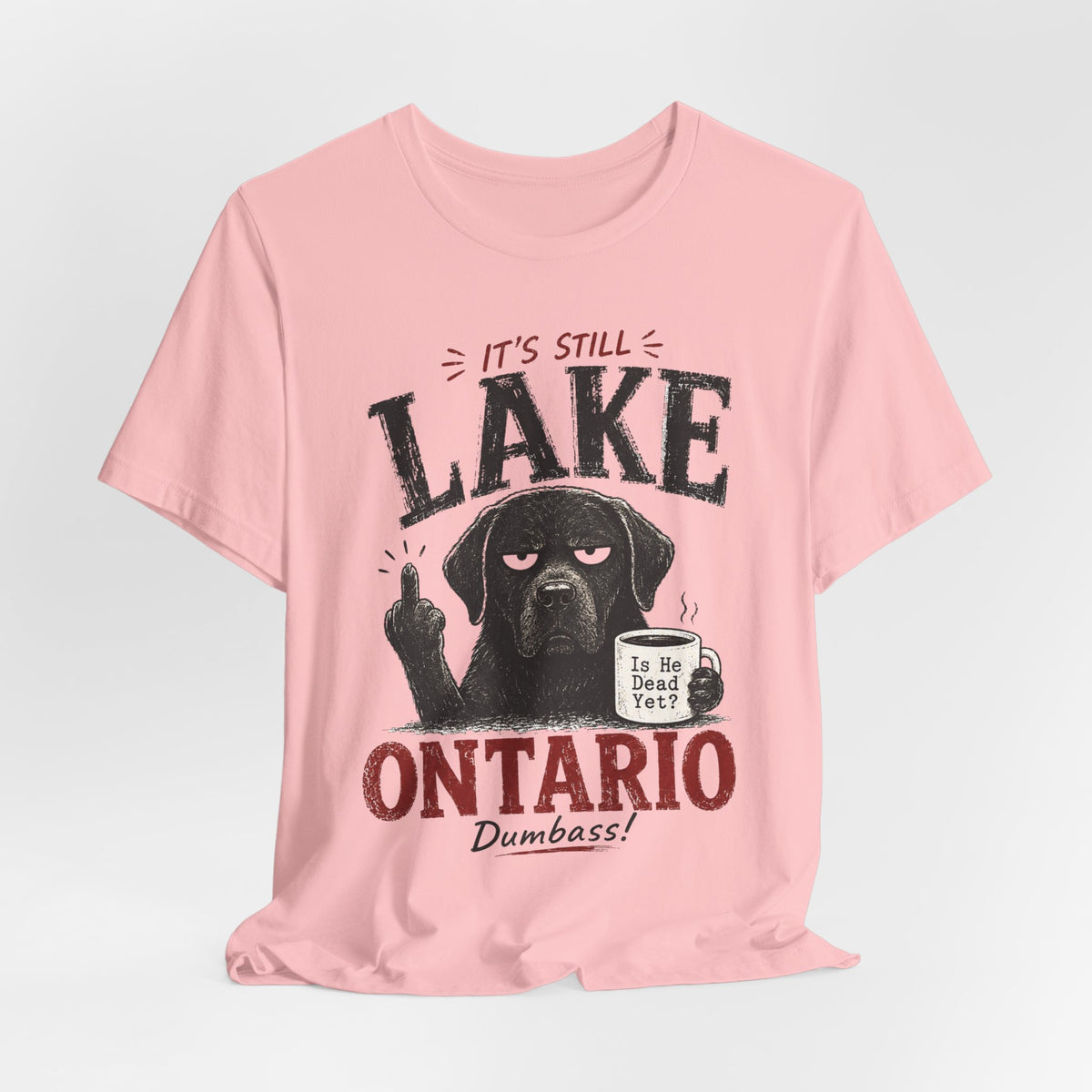 It's Still Lake Ontario Dumbass T-Shirt in White worn shot - funny Great Lakes Lake Ontario shirt, Barely Outdoorsy
