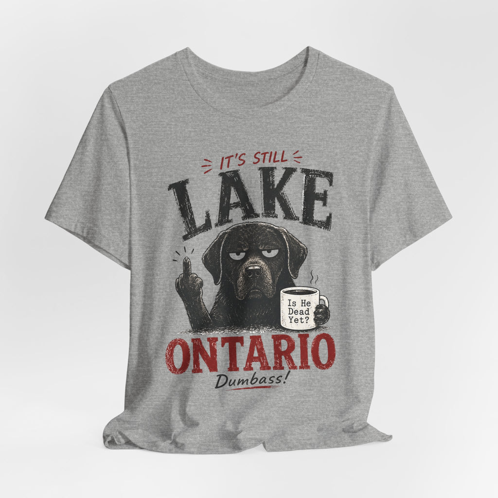It's Still Lake Ontario Dumbass T-Shirt in Athletic Heather - funny Lake Ontario Great Lakes humor graphic tee, Barely Outdoorsy Bella Canvas 3001