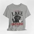 It's Still Lake Ontario Dumbass T-Shirt in Athletic Heather - funny Lake Ontario Great Lakes humor graphic tee, Barely Outdoorsy Bella Canvas 3001