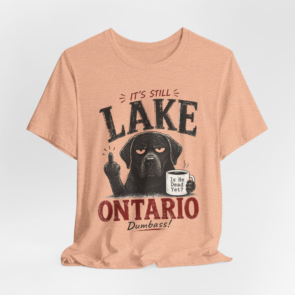 It's Still Lake Ontario Dumbass Tee in Pink - funny Lake Ontario pride shirt, Barely Outdoorsy