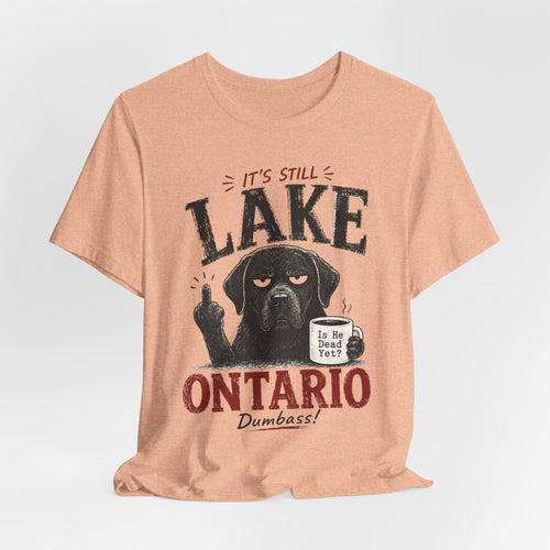 It's Still Lake Ontario Dumbass Tee in Pink - funny Lake Ontario pride shirt, Barely Outdoorsy