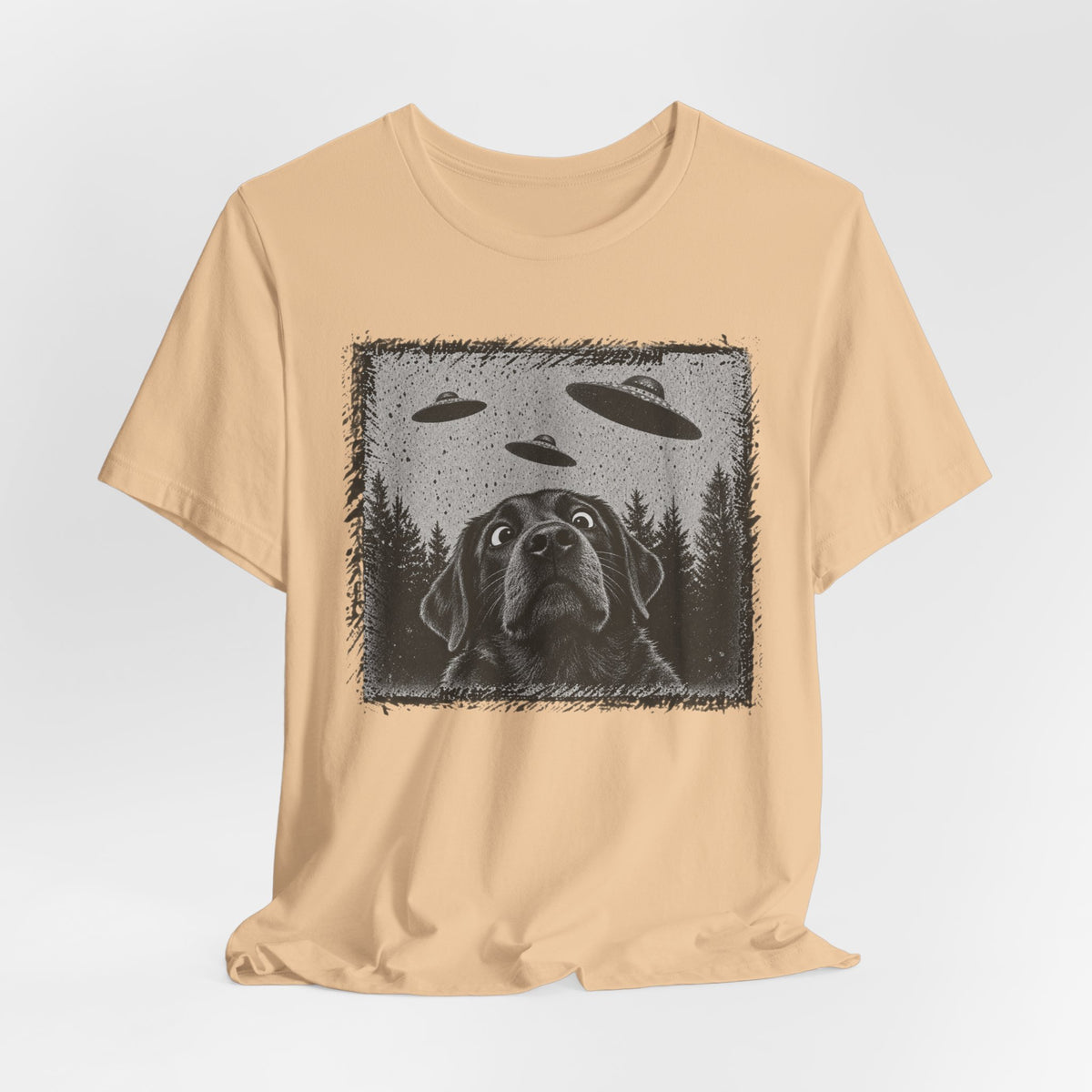 Black Lab UFO Tee in Heather Columbia Blue - funny dog UFO alien humor shirt, Barely Outdoorsy