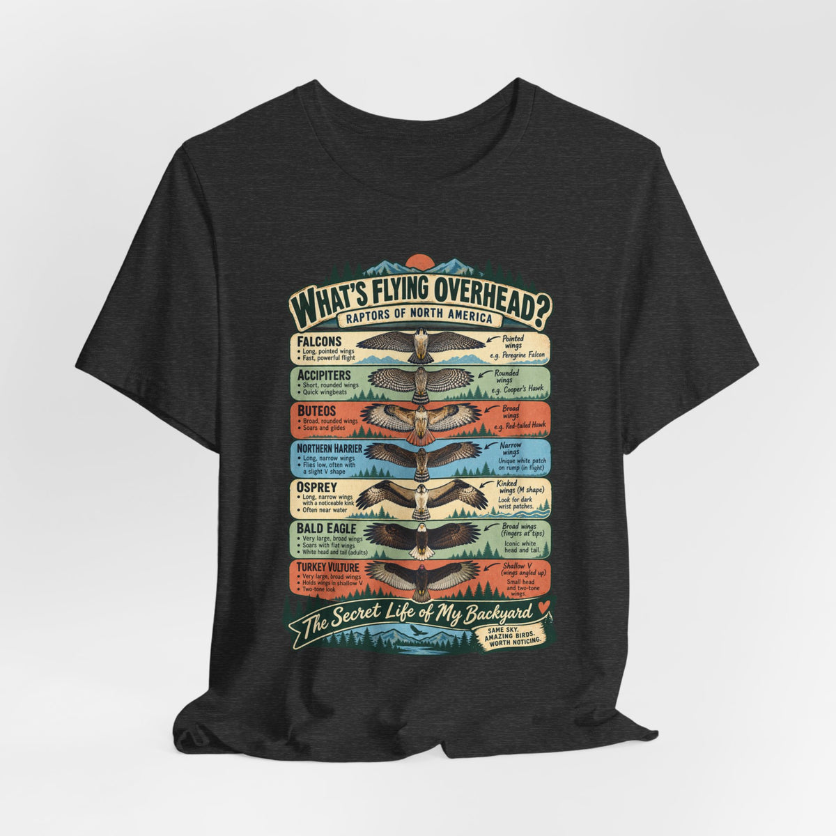 Raptors of North America Identification T-Shirt in Heather True Royal detail - vintage raptors identification close-up graphic, Barely Outdoorsy Bella Canvas