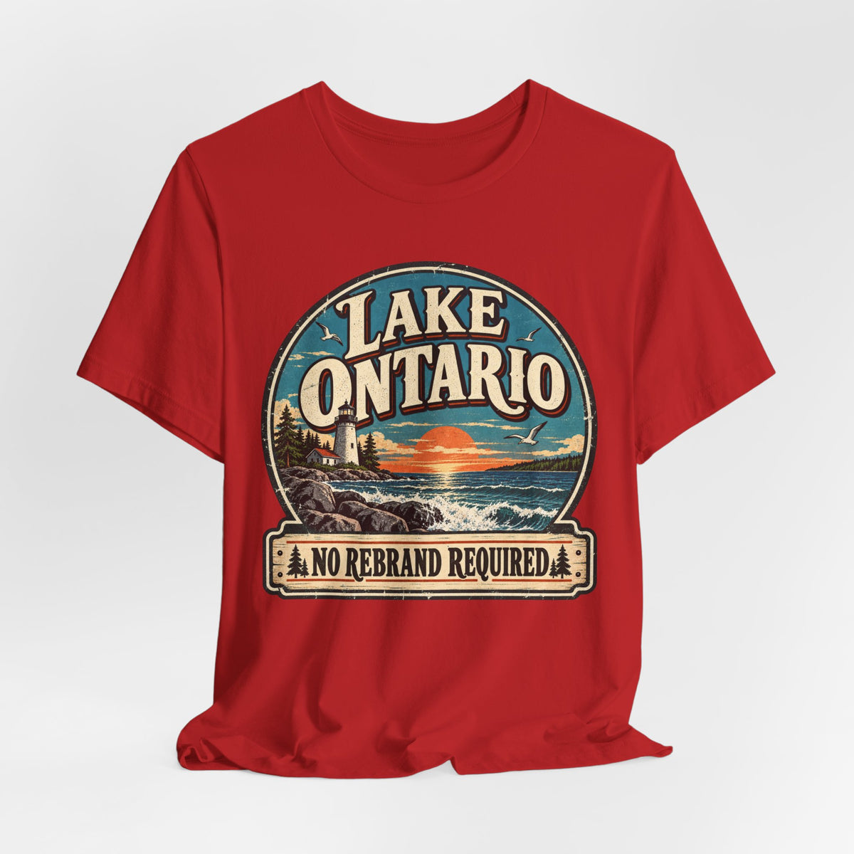 Lake Ontario No Rebrand Required T-Shirt in Black Heather - funny Lake Ontario no rebrand graphic tee, Barely Outdoorsy